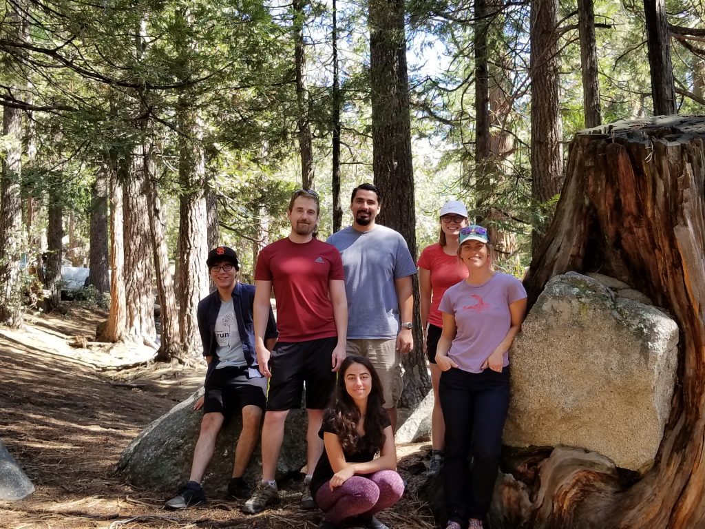 Photo of Gremel Lab on a camping trip to Idyllwild in 2017. Lab members are posing by pine trees and bounders